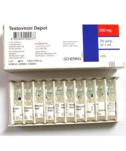 testosterone-enanthate-250mg